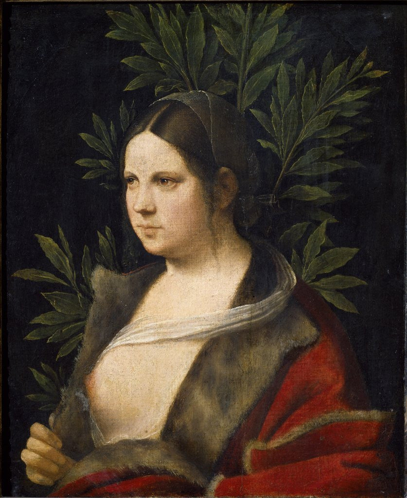 Detail of Portrait of Laura de Noves by Giorgione