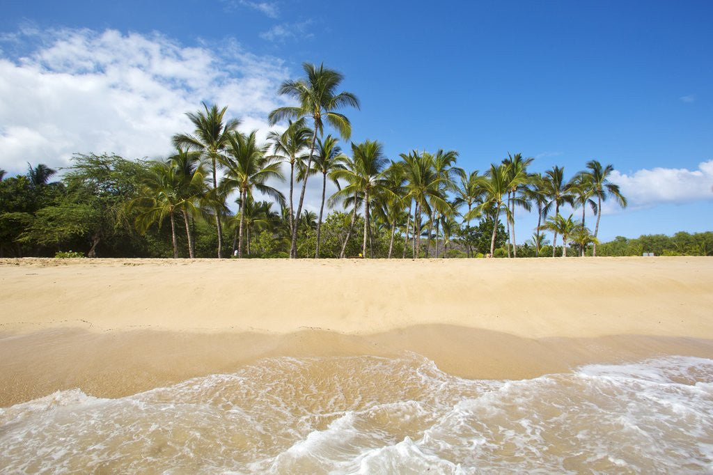 Detail of Hulupo'e Beach, Manele Bay, Lanai, Hawaii by Anonymous