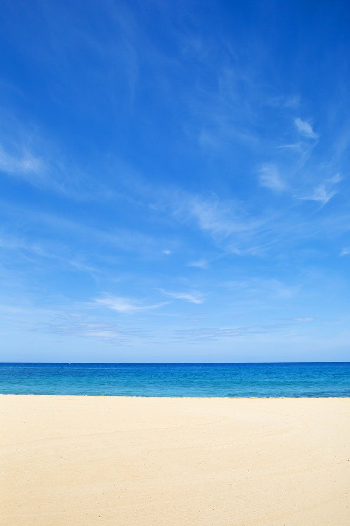 Detail of Hulupo'e Beach, Manele Bay, Lanai, Hawaii by Anonymous