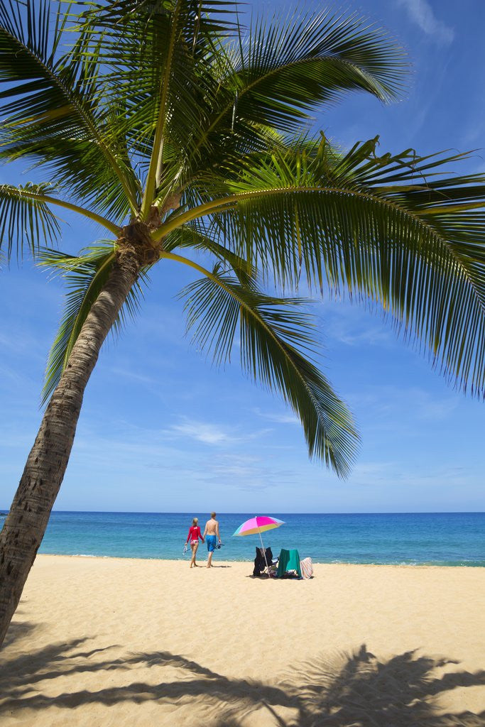 Detail of Vacationing couple snorkeling at Hulupo'e Beach; Manele Bay; Lanai; Hawaii by Anonymous