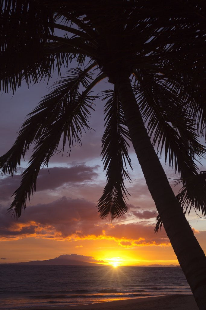 Detail of Sunset at Keawekapu Beach, Wailea, Maui, Hawaii by Anonymous