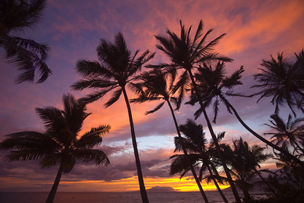 Detail of Sunset at Keawekapu Beach, Wailea, Maui, Hawaii by Corbis
