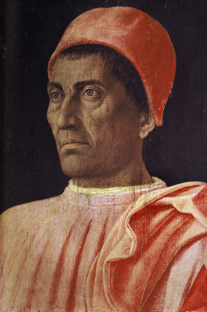 Detail of Portrait of Carlo di Cosimo de Medici by Andrea Mantegna
