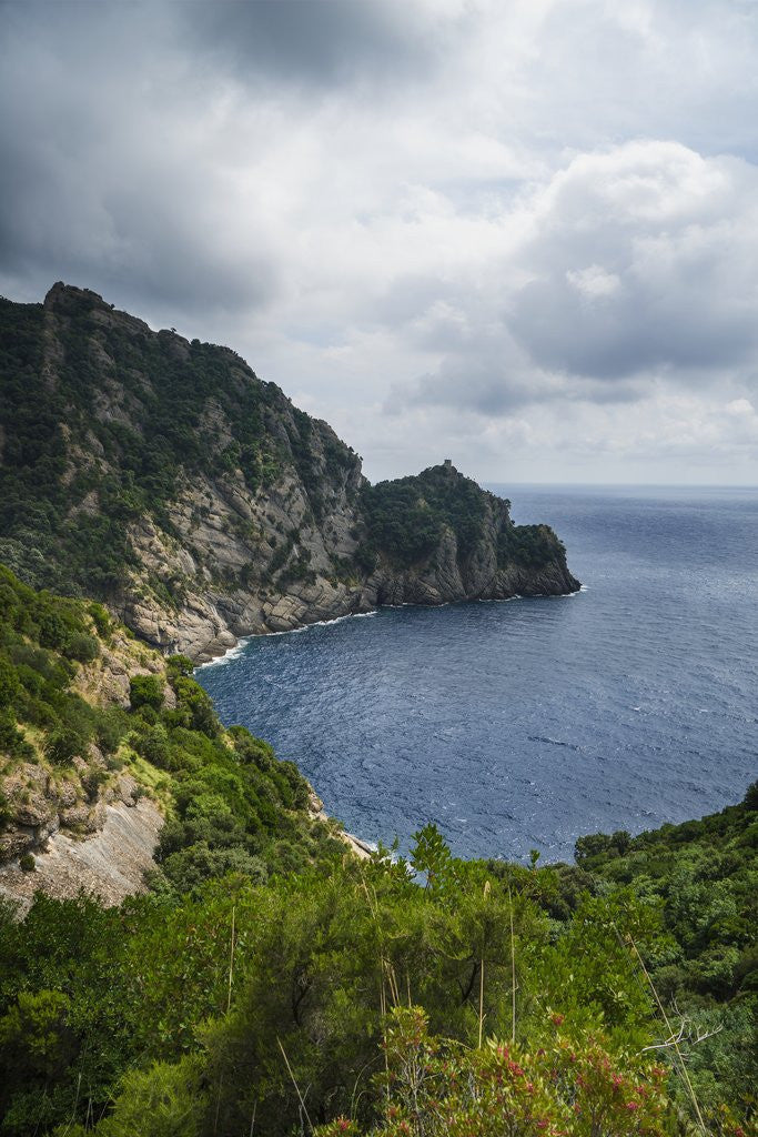 Detail of The trail from San Rocco to San Fruttuoso by Anonymous