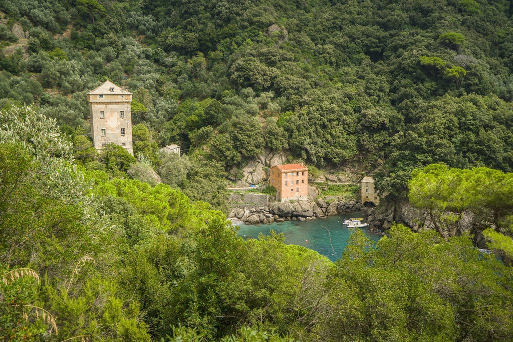 Detail of View of San Fruttuoso by Anonymous
