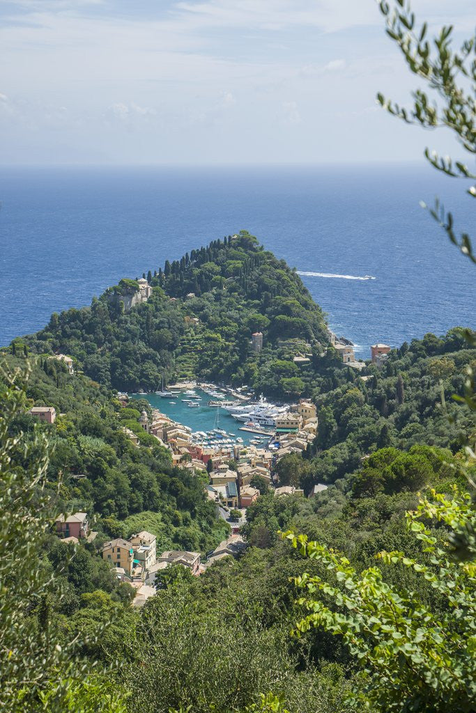 Detail of View of Portofino by Anonymous