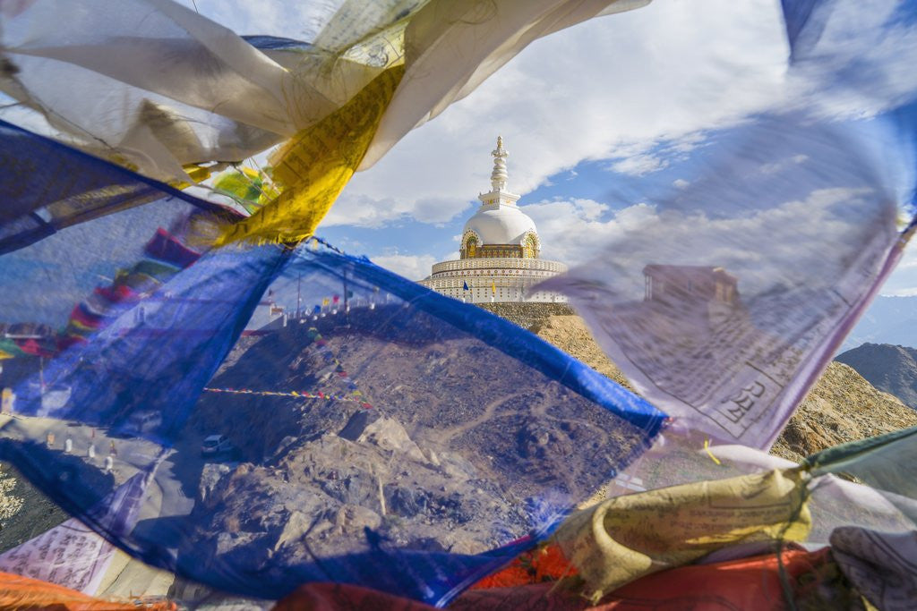 Detail of Shanti Stupa by Anonymous