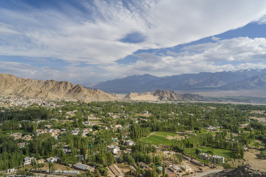Detail of Panoramic view of the town from Shanti Stupa by Anonymous