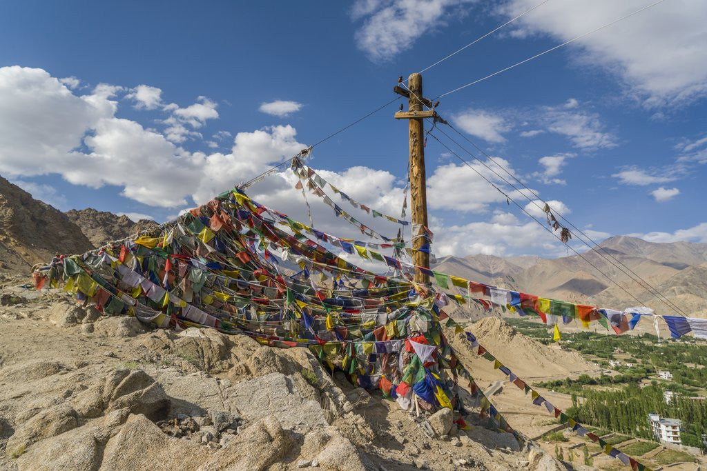 Detail of Shanti Stupa by Anonymous