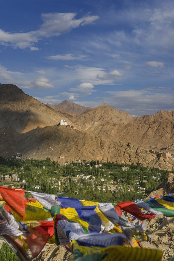 Detail of Panoramic view of the town from Shanti Stupa by Anonymous