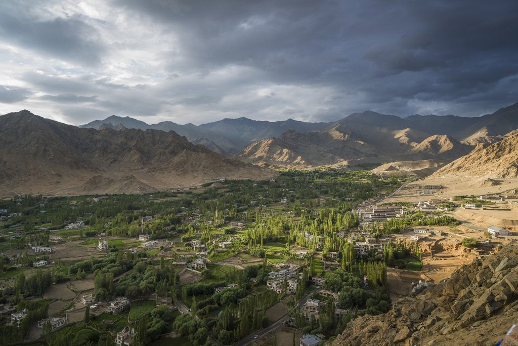 Detail of View of the town from the Monastery of the Palace by Anonymous