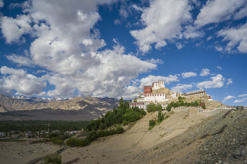 Detail of Thikse Monastery by Anonymous