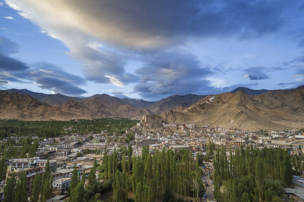 Detail of View of the town from a small hill near main bazaar by Anonymous