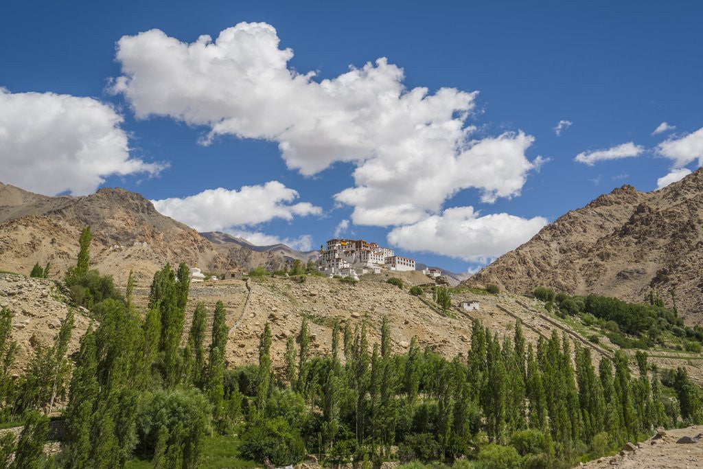 Detail of Likir Monastery by Anonymous