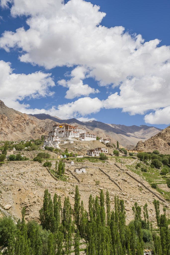 Detail of Likir Monastery by Anonymous