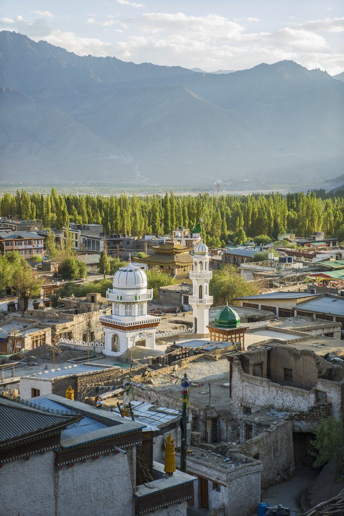 Detail of View of the town from the Palace by Anonymous