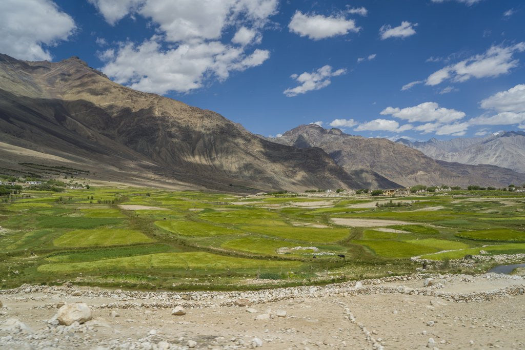Detail of Khardung-La Pass is the highest motorable road in the world with 18380 feet, 5602,2 meters by Anonymous