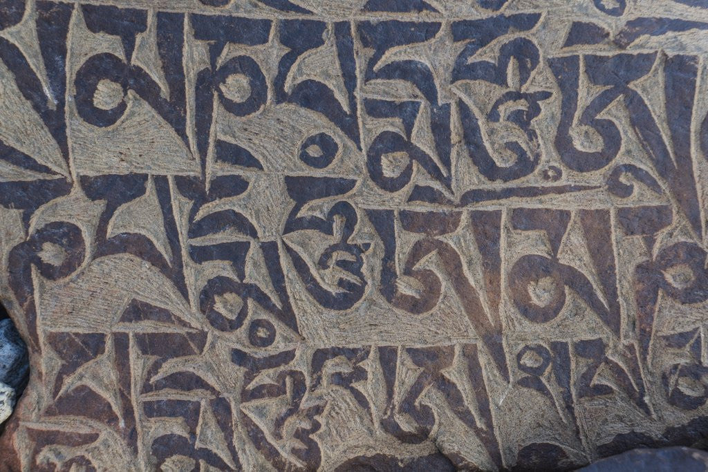 Detail of Monastery near Thag Thok, Chemde Valley by Anonymous