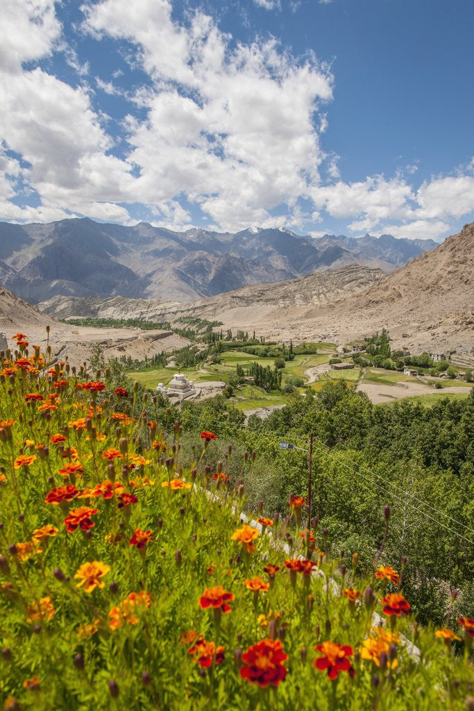 Detail of View from Likir Monastery by Anonymous
