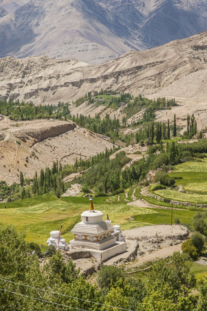 Detail of View from Likir Monastery by Anonymous