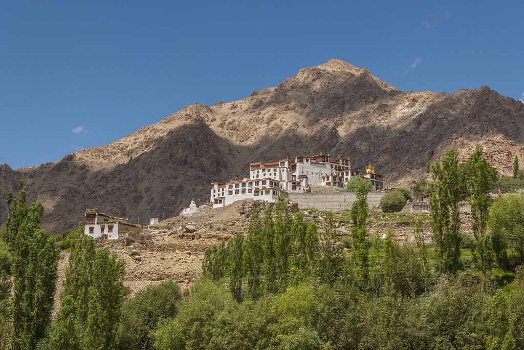Detail of Likir Monastery by Anonymous
