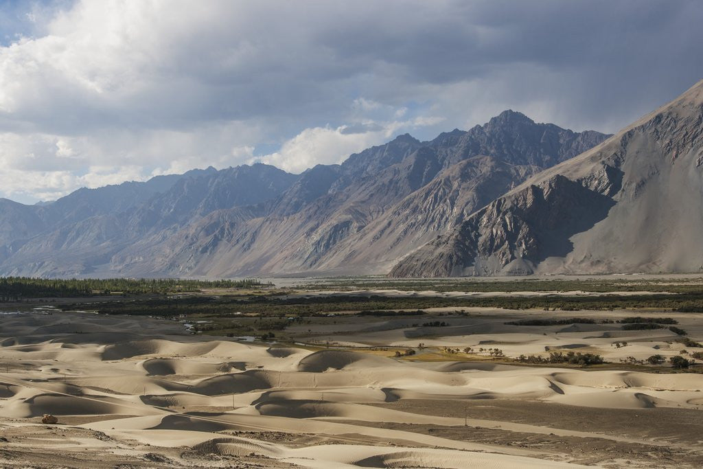 Detail of Sand dunes along Shyok Valley by Anonymous