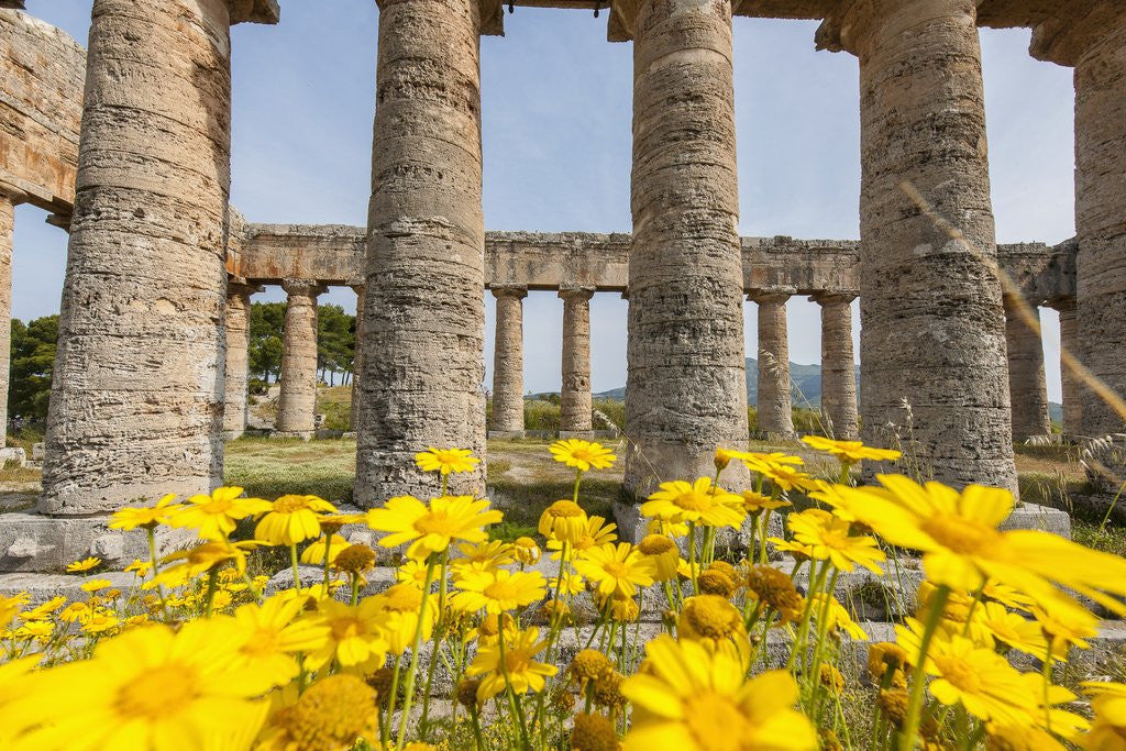 Detail of Segesta, the temple by Anonymous