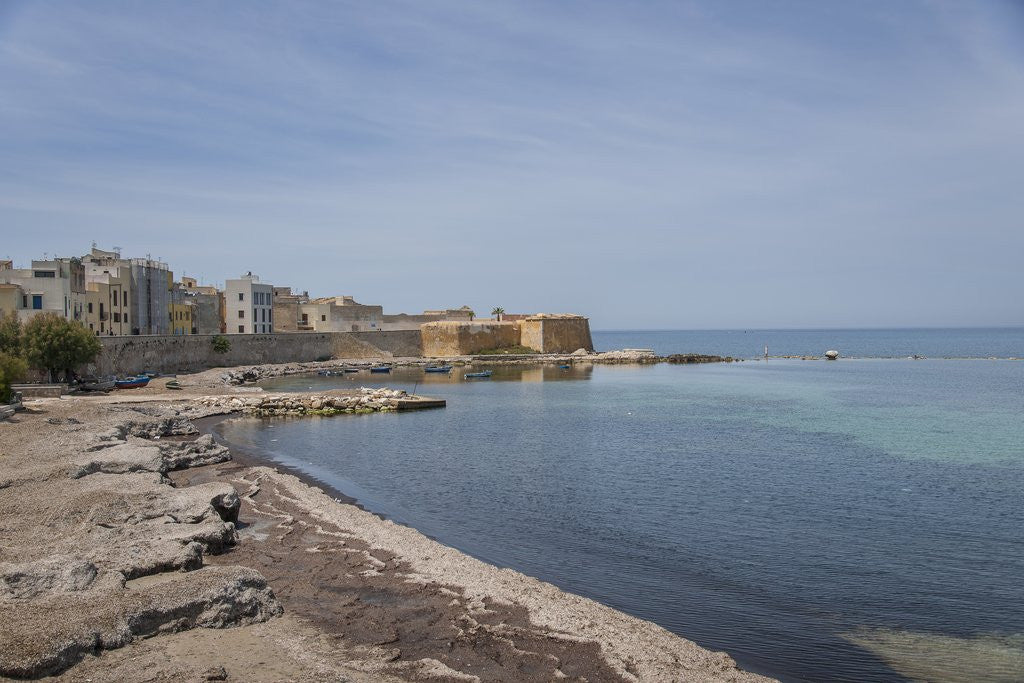 Detail of View of the town along north walls (Mura di Tramontana) by Anonymous