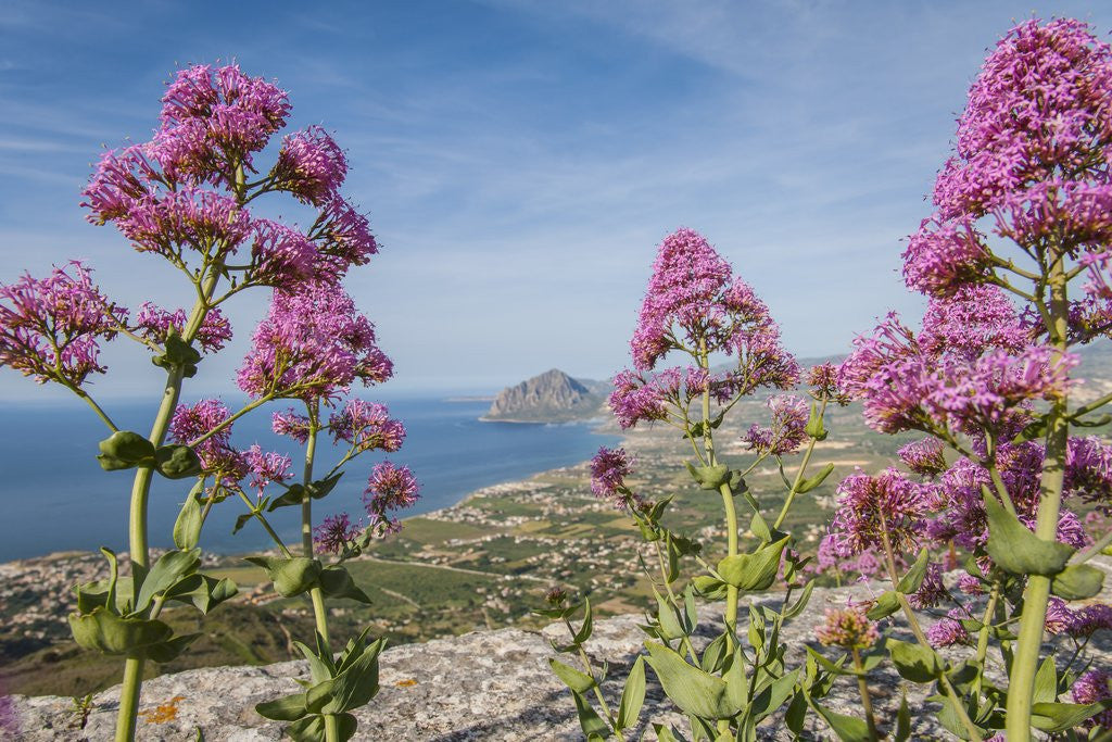 Detail of View of Golfo di Bonagia from Erice by Anonymous