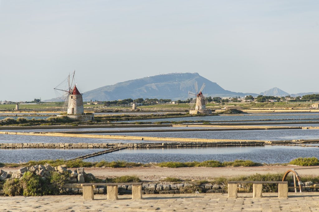 Detail of Ettore e Infersa Salt works area by Anonymous