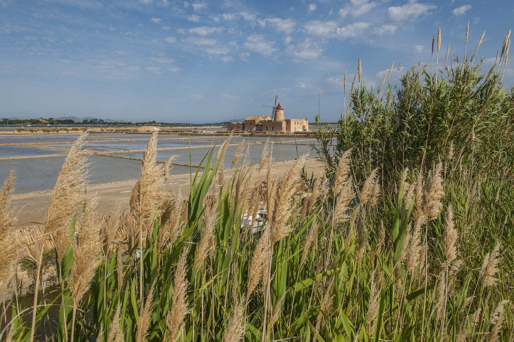 Detail of Ettore e Infersa Salt works area by Anonymous