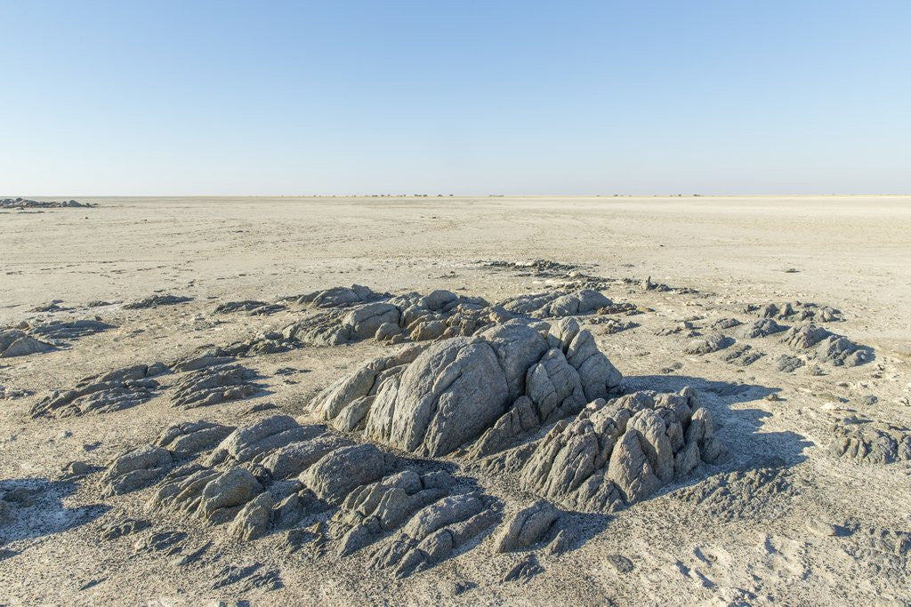 Detail of Sua Pan and Rocks of Kubu Island, Botswana by Anonymous