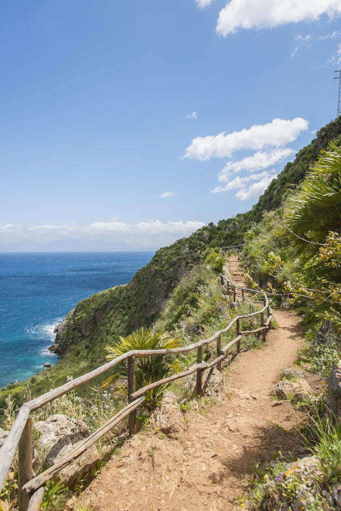 Detail of Lo Zingaro Natural Reserve by Anonymous