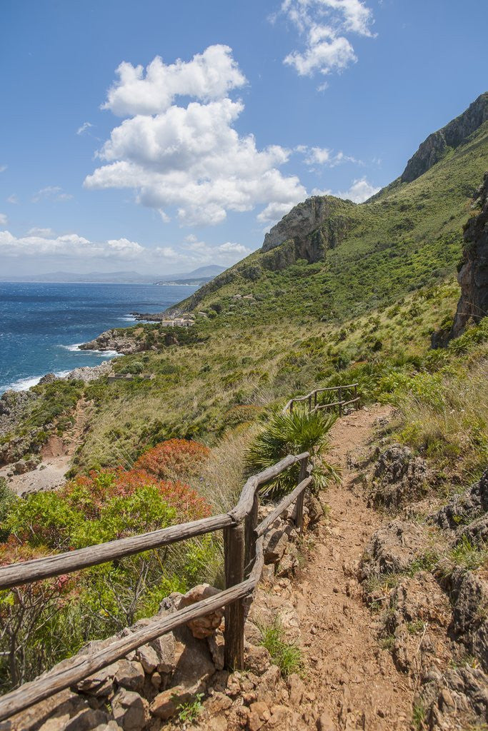 Detail of Lo Zingaro Natural Reserve by Anonymous
