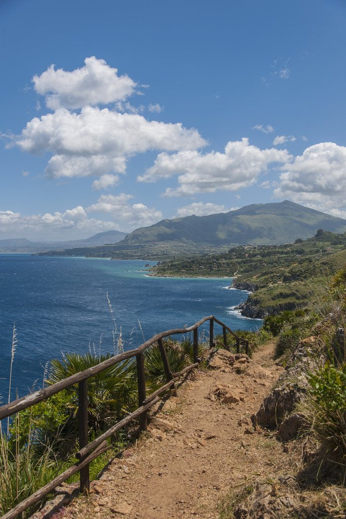 Detail of Lo Zingaro Natural Reserve by Anonymous
