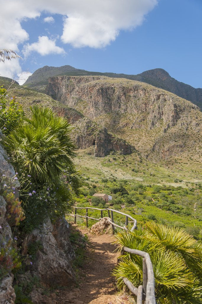 Detail of Lo Zingaro Natural Reserve by Anonymous