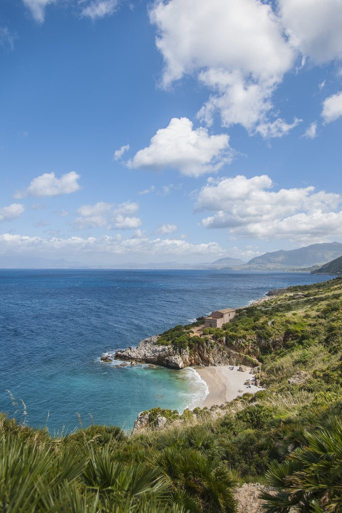 Detail of Lo Zingaro Natural Reserve, Tonnarella dell'Uzzo by Anonymous