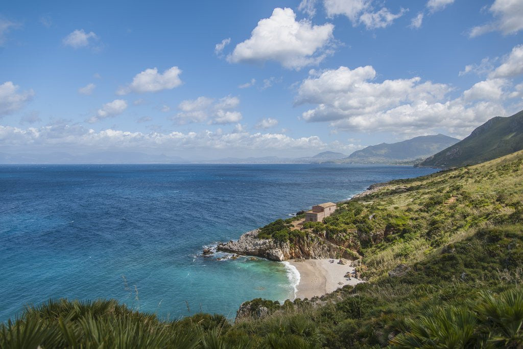 Detail of Lo Zingaro Natural Reserve, Tonnarella dell'Uzzo by Anonymous