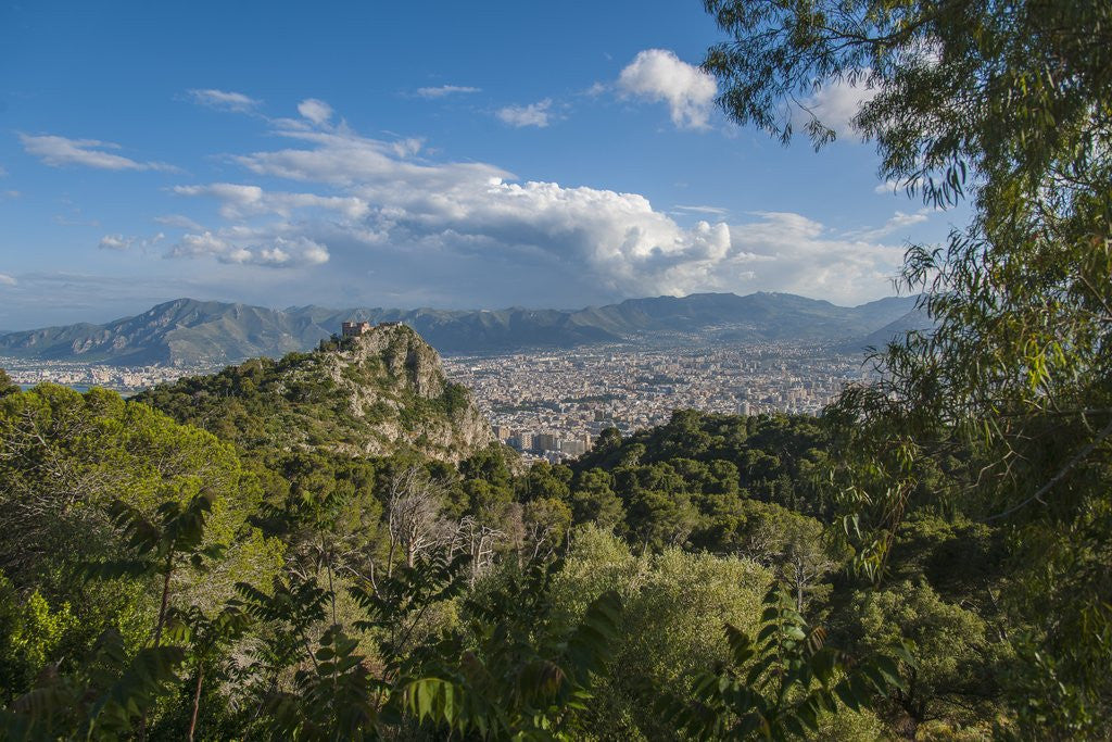 Detail of View of the town from Monte Pellegrino by Anonymous