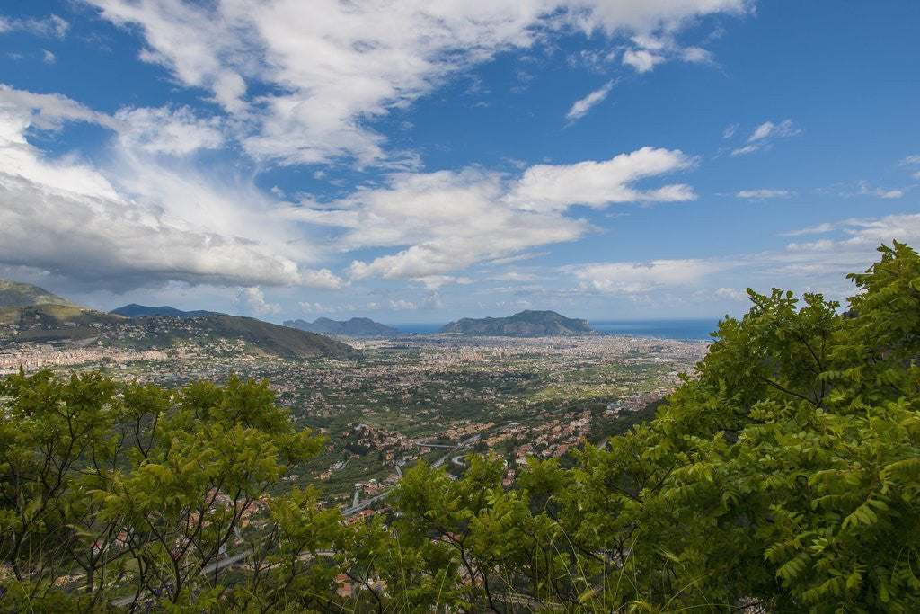 Detail of View of the town from Altofonte by Anonymous