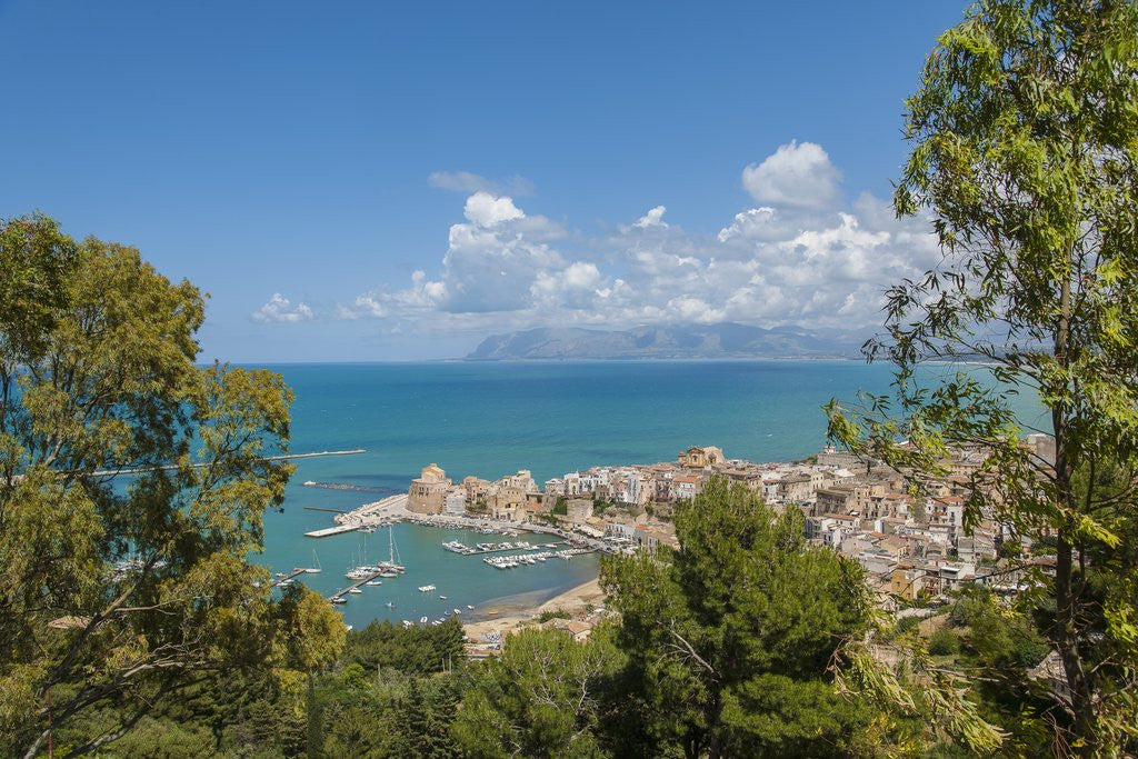 Detail of View of Castellammare del Golfo by Anonymous