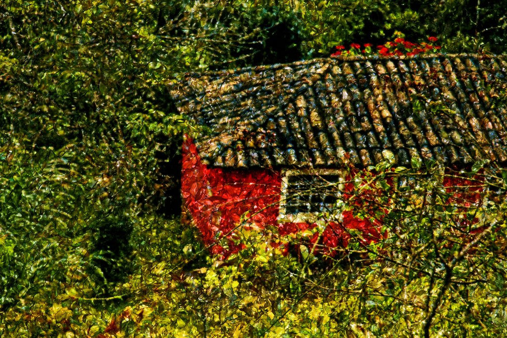 Detail of Red House by Anonymous