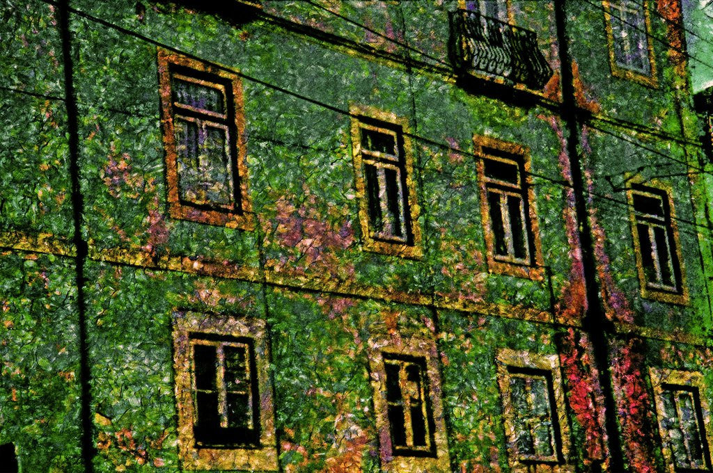Detail of Green by Anonymous