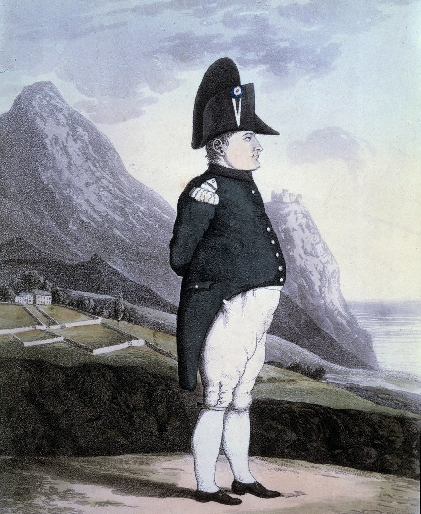 Detail of Portrait of Napoleon I on the island of St Helena, 1815 by Anonymous
