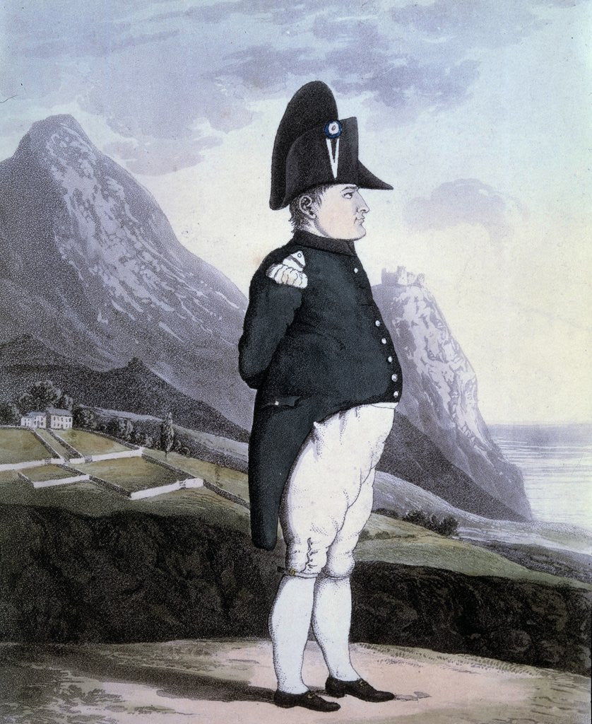 Detail of Portrait of Napoleon I on the island of St Helena, 1815 by Corbis