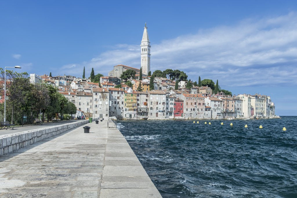 Detail of Rovinj by Anonymous