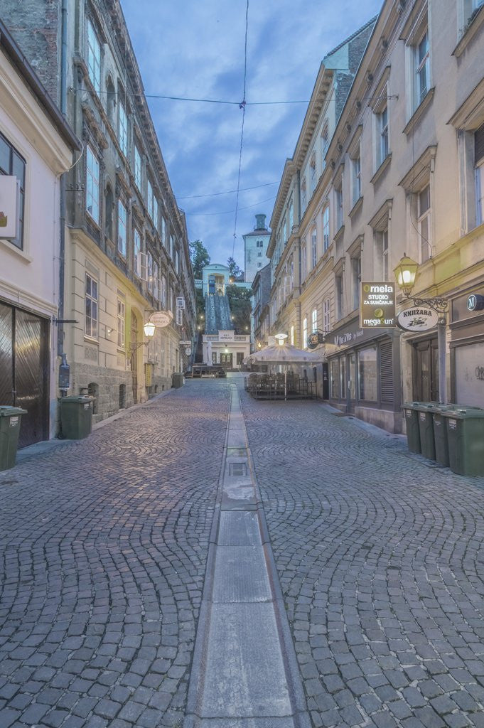 Detail of Lower Town Street by Anonymous