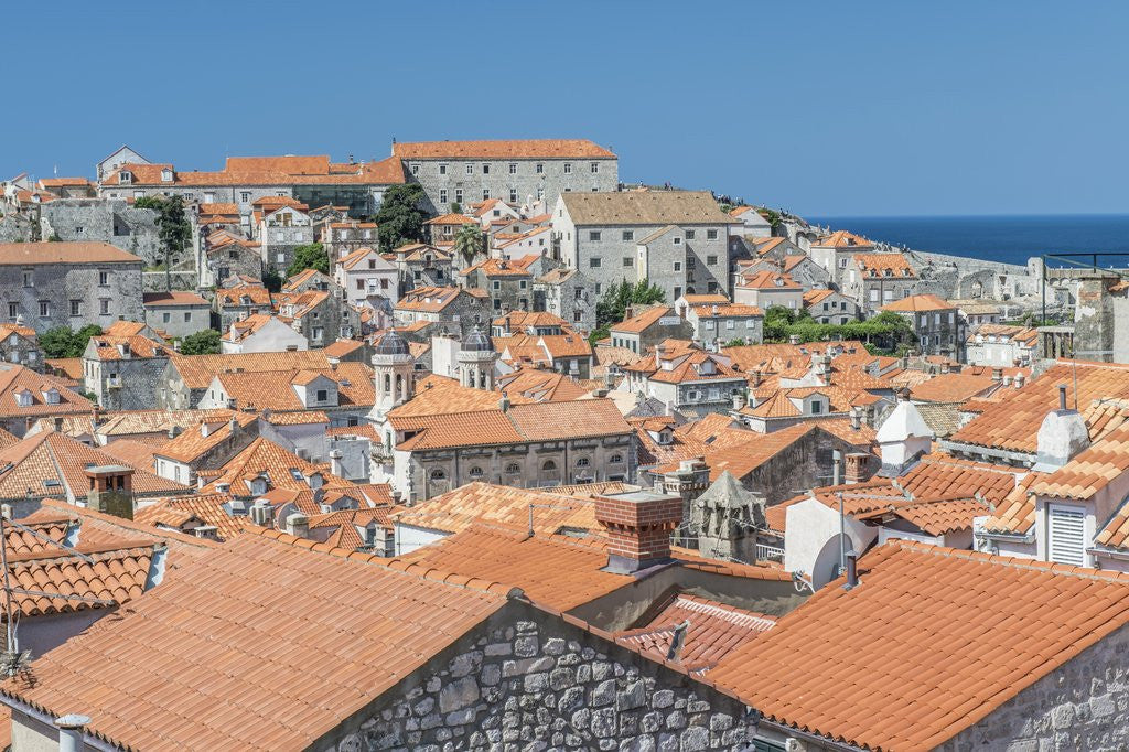 Detail of Dubrovnik Rooftops by Anonymous