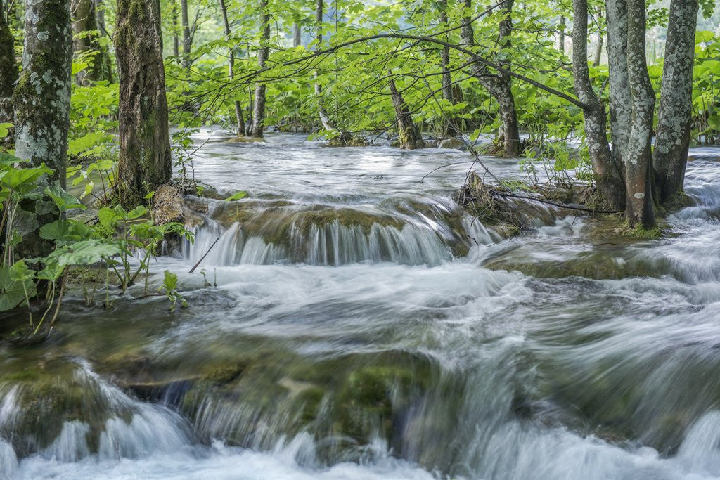 Detail of Mountain Stream by Anonymous
