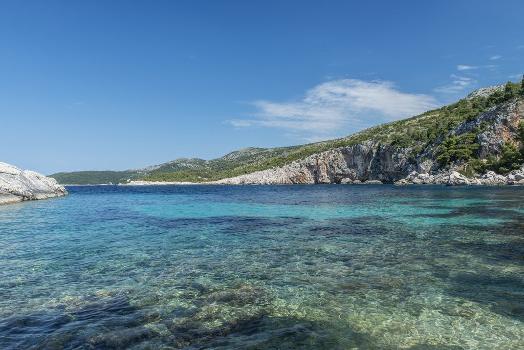 Detail of Secluded Cove by Anonymous